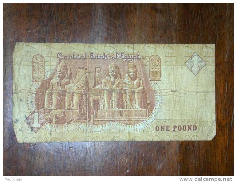 Egypt,Banknote,Paper Money,Bill,Geld,1 Pound - Egitto