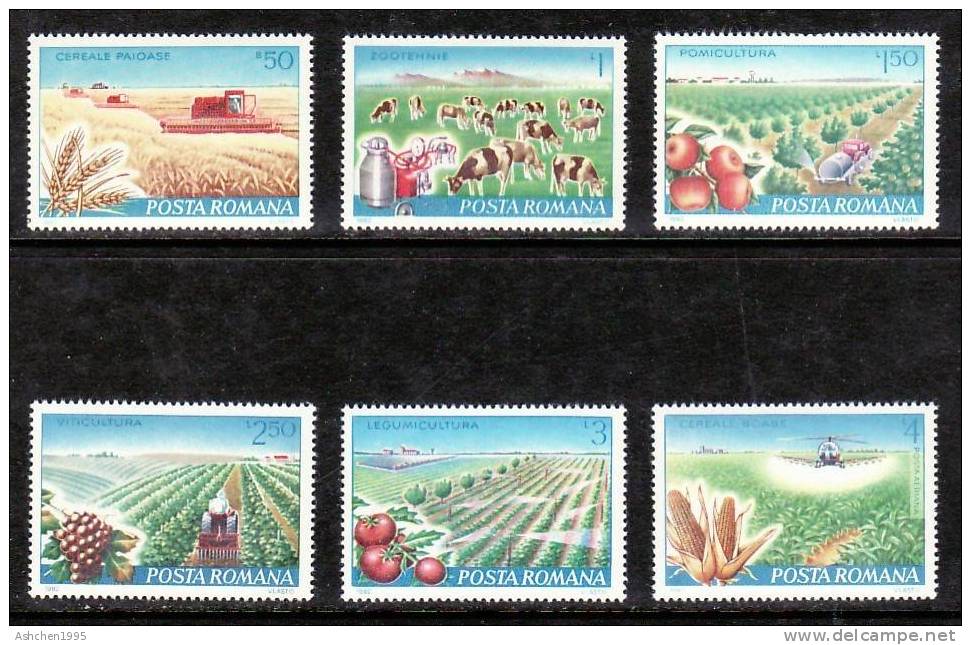 Romania Rumanien 1982, Mi 3873-3878, Agricultural Modernization --- MNH ** - Nuovi