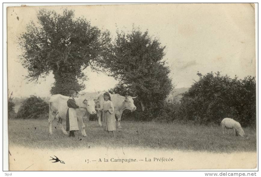 A La Campagne ! - La Préférée - Fattorie