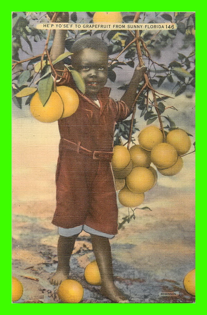 BLACK KID'S - HE'P YO'SE'F TO GRAPEFRUIT FROM SUNNY FLORIDA - ROBINSON - - Black Americana