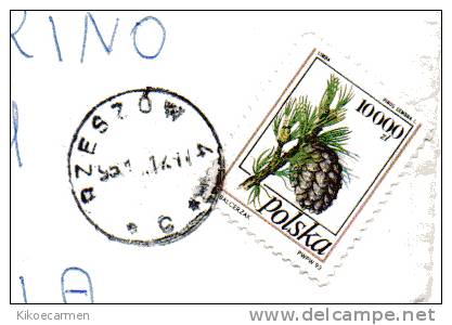 POLAND POLONIA POLSKA 1993 1995 ISOLATO Pinus Complete Cover To Italy, Used Usato Usado - Storia Postale