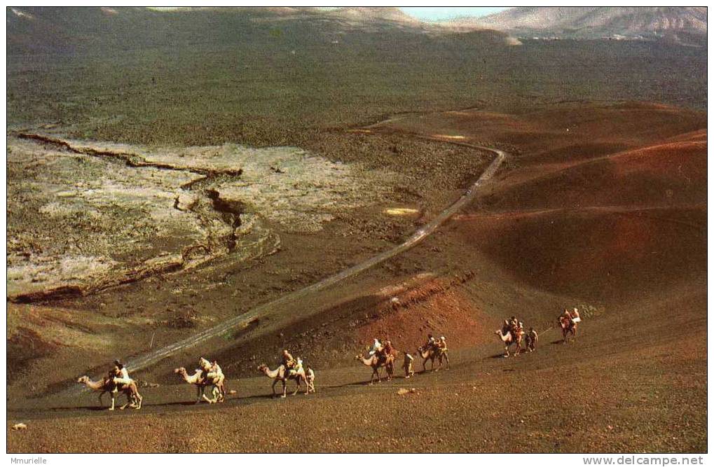 ESPAGNE-LANZAROTE ISLAS CANARIAS Ascension Al Volcan TIMANFAYA-MB - Lanzarote