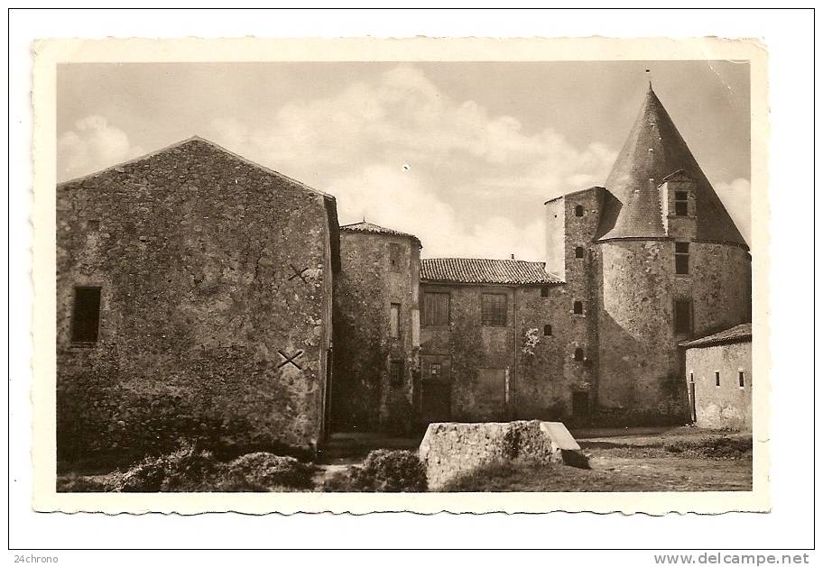 Pouzauges: Vieux Chateau Des Echardieres (10-353) - Pouzauges