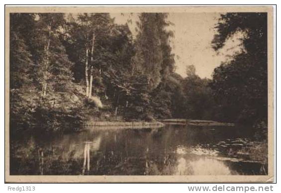 Cirey - Etang De Chatillon - Cirey Sur Vezouze