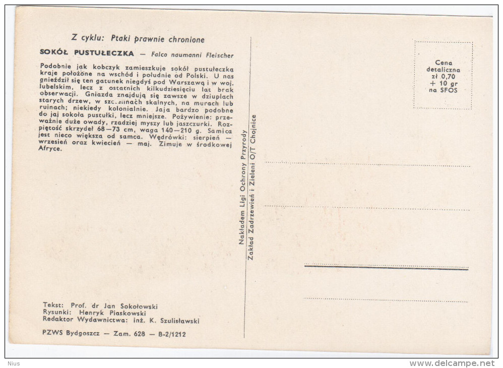 Poland 1983 Lesser Kestrel Falco Naumanni Small Falcon Eagle, Canceled In Ciechocinek - Cartoline Maximum