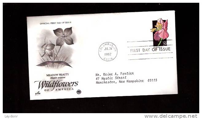 FDC Meadow Beauty - Wildflowers - Scott # 2649 - 1991-2000