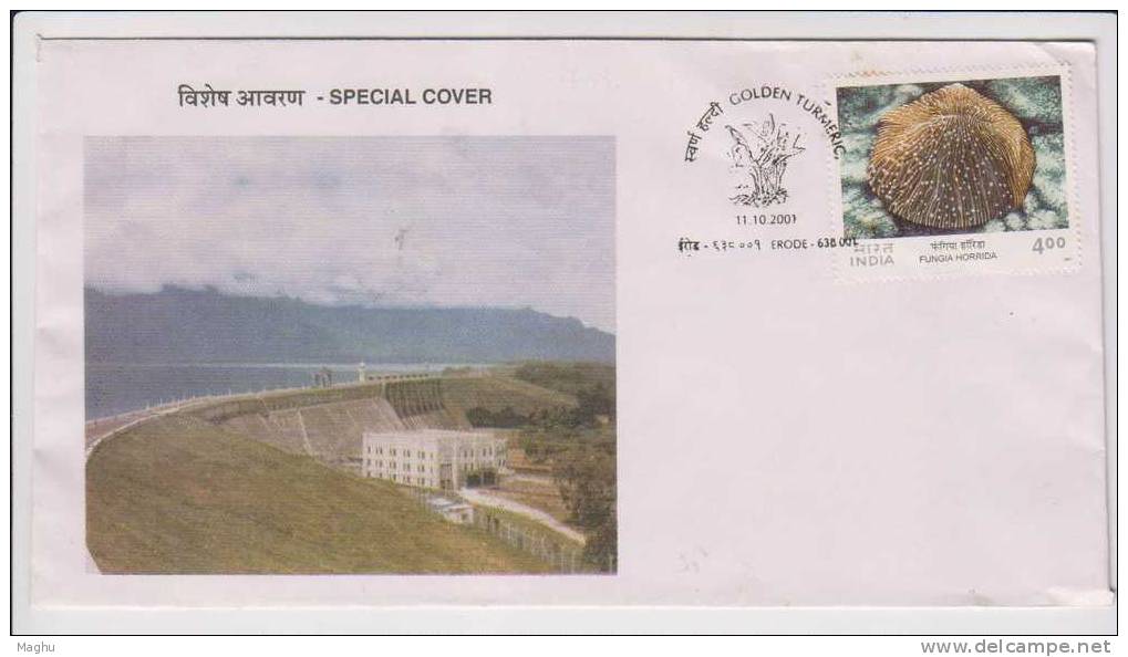 India-special Cover--2001-Dam, Water, Hydro Power, Cache-medical Herb, Golden Turmeric, - Covers & Documents