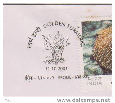 India-special Cover--2001-Dam, Water, Hydro Power, Cache-medical Herb, Golden Turmeric, - Covers & Documents