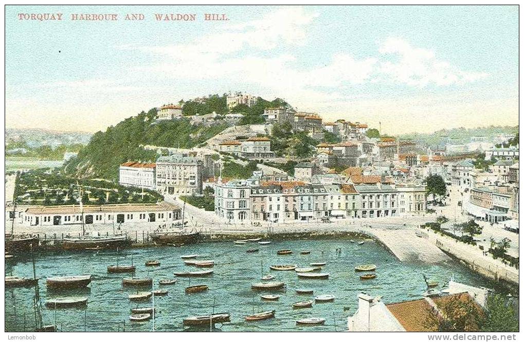 Britain United Kingdom - Torquay - Harbour And Waldon Hill Old Postcard [P628] - Torquay