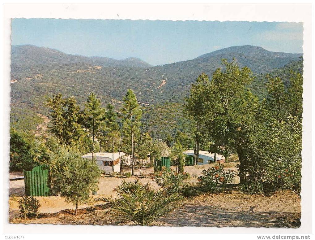 Le Muy (83) : Caravaning Résidentiel Des Canebièrres Environ 1960. - Le Muy