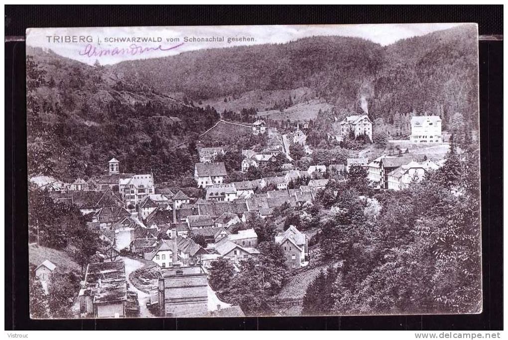 TRIBERG - Schwarzwald Vom Schonachtal Gesehen - Gelaufen - Circulé - Circulated - 1907. - Triberg