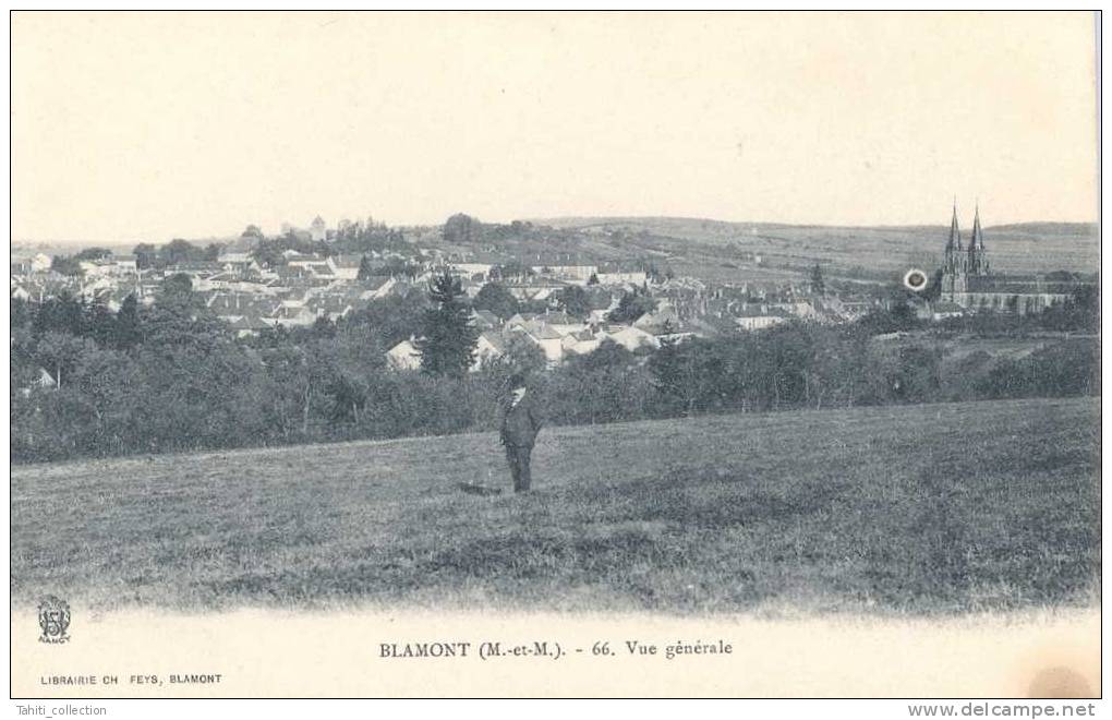 BLAMONT - Vue Générale - Blamont