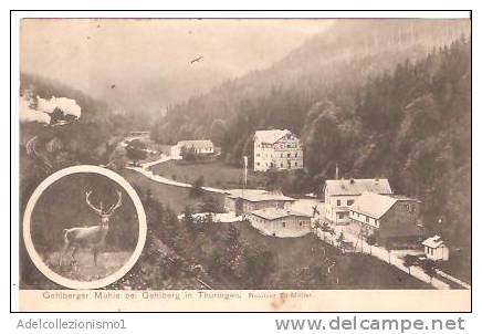 36759)cartolina Illustratoria Oberhof - Panorama - Oberhof
