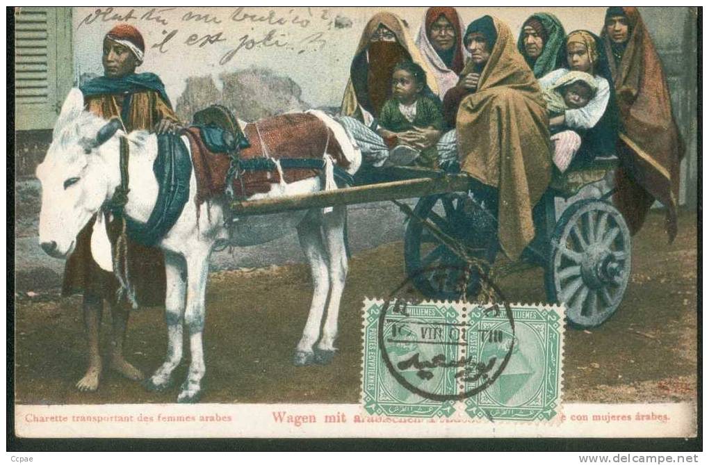 Charette Transportant Des Femmes Arabes.  (âne) - Other & Unclassified