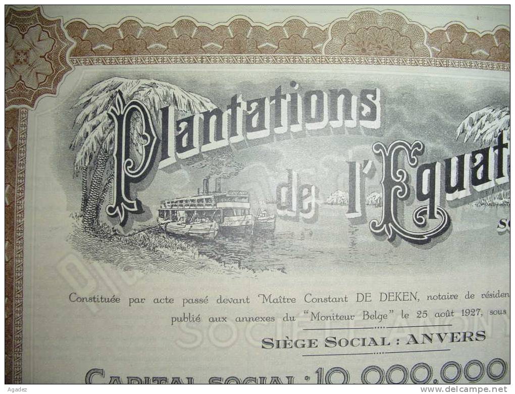 Part Soc."Plantations De L'equatoriale"Anvers 1927.Antwerpen. - Afrique