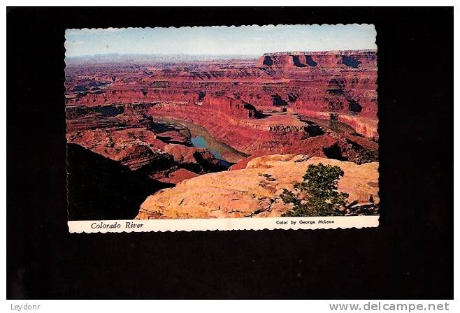 Colorado River From Dead Horse Point Near Moab, Utah - Other & Unclassified