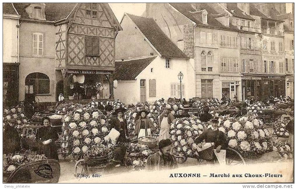 21/ AUXONNE / MARCHE AUX CHOUX FLEURS - Auxonne