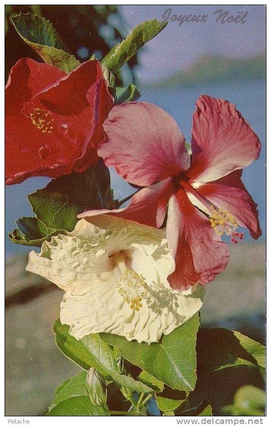 Polynésie - Tahiti - Joyeux Noêl - Hibiscus - Fleurs Flowers - Neuve - Tahiti