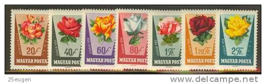 HUNGARY 1962 ROSES MNH - Rose