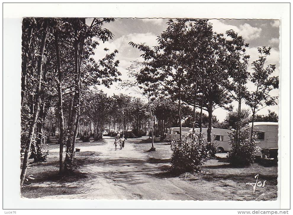 LA FORET - FOUESNANT   -  CAMPING Du SAINT LAURENT  - N°  3454 - La Forêt-Fouesnant