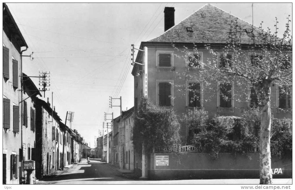 CPSM - 81 -TARN - PAMPELONNE - La Grande Rue - 516 - Pampelonne