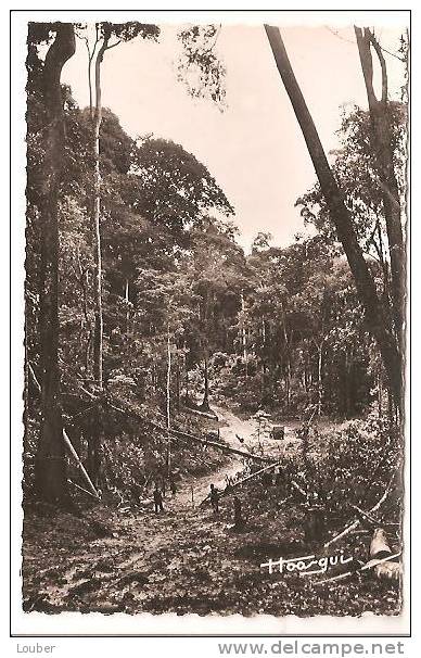 CPA OUBANGUI-CHARI La Forêt - Centrafricaine (République)