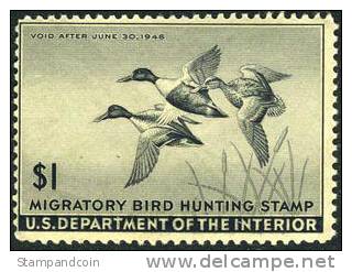 US RW12 Mint Never Hinged Duck Stamp From 1945 - Duck Stamps