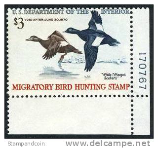 US RW36 Mint Never Hinged Duck Stamp From 1969 - Duck Stamps