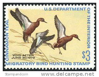 US RW38 Mint Never Hinged Duck Stamp From 1971 - Duck Stamps