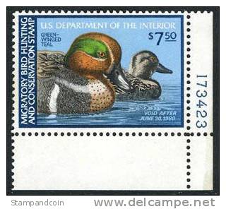 US RW46 Mint Never Hinged Duck Stamp From 1979 - Duck Stamps