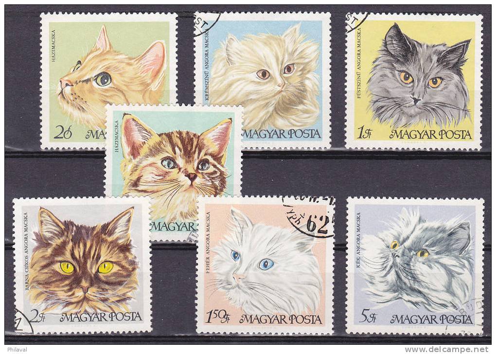 Série De 7 Timbres Sur Le Thème Du Chat - Chats Domestiques