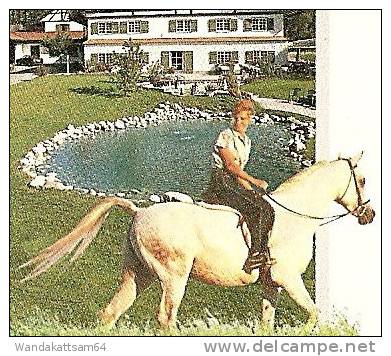 6 Seiten Prospekt HOTEL HOFGUT KÜRNACH Ein CLUB COLOMBO Hotel Mit Freischach Pferden Golfspielerin Mädchen Mit Hasen - Kempten