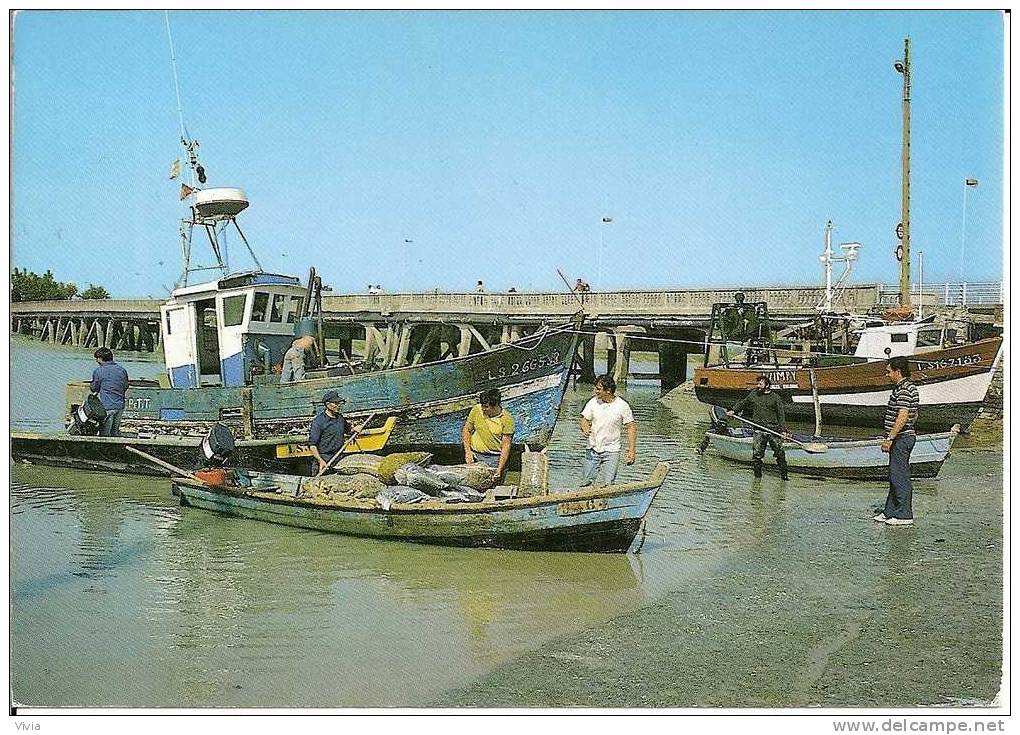 85 - VENDEE -  L AIGUILLON SUR MER  LA FAUTE SUR MER - Autres & Non Classés