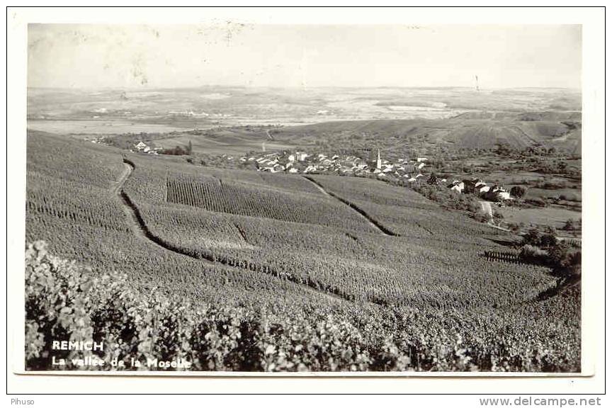 L647  REMICH : La Vallee De La Moselle - Remich