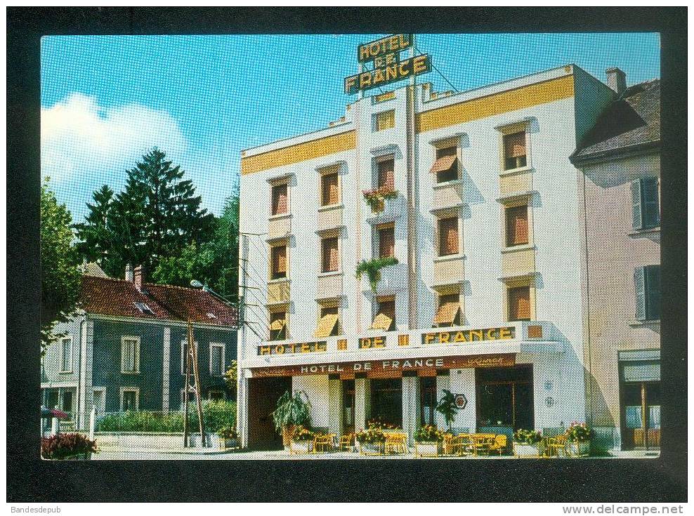 CPSM - La Tour Du Pin (38) - Hôtel De France ( Carte Publicitaire ) - La Tour-du-Pin