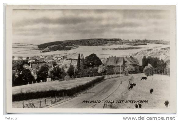 Vaals - Panorama Vaals Met Sneeuwberg - Vaals