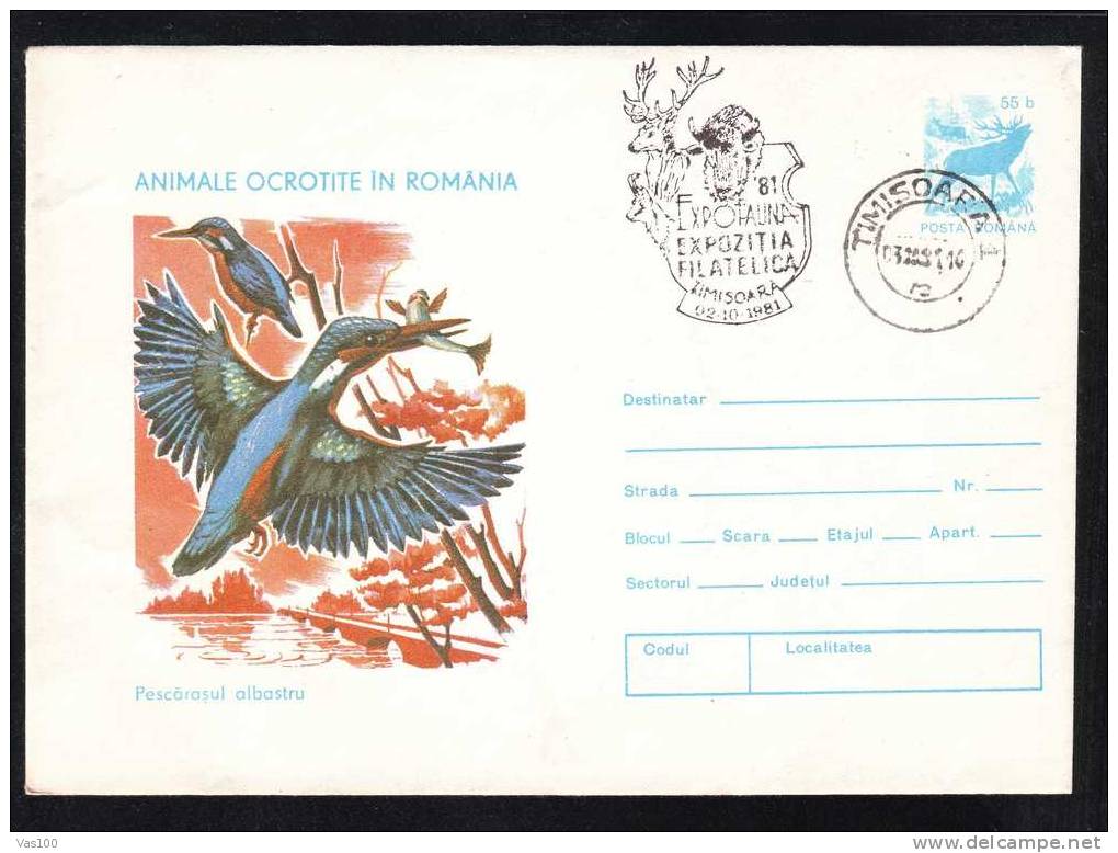 BIRDS - ALBATROS - ALCEDO ATTHIS - ,cover Stationery  1977 - Obliteration Concordante,ROMANIA. - Albatros & Stormvogels