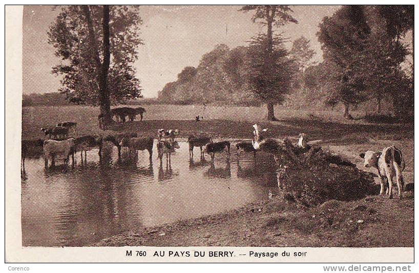 3552   Pays De Berry  Vaches A L Abreuvoir Non écrite - Elevage