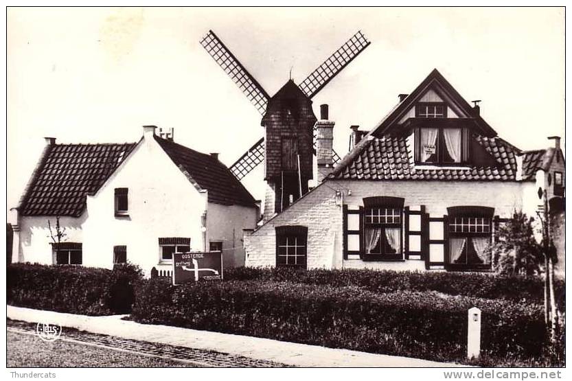 WENDUINE WENDUYNE CARTE DE PHOTO FOTO KAART KERK DE MOLEN LE MOULIN - Wenduine