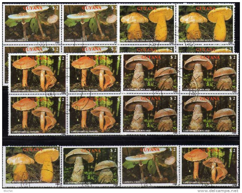 WWF Dickfuß Ritterling Schirmling Gürtelfuß 1989 GUYANA 2480/4 Plus 4-Block O 60€ Pilze Bloc Mushroom Sheet Of America - Guyane (1966-...)