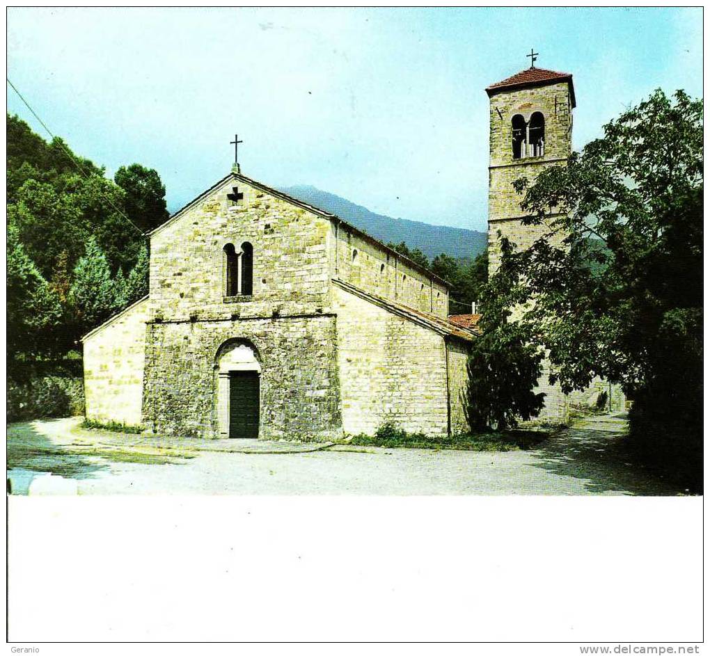 PIEVE S. PAOLO FIVIZZANO NV - Massa