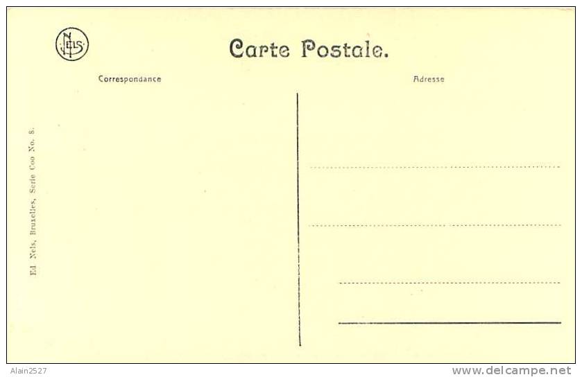 COO - Panorama De Petit Coo (Ed. Nels, Bruxelles, Serie Coo N° 8) - Trois-Ponts