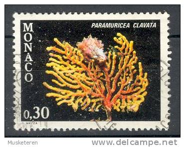 Monaco 1980 Mi. 1453  0.30 (Fr) Fauna Des Mittelmeeres Fauna Of The Mediterranean Koralle Coral - Oblitérés