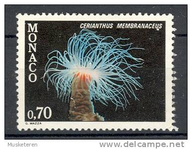 Monaco 1980 Mi. 1457  0.70 (Fr) Fauna Des Mittelmeeres Fauna Of The Mediterranean Zylinder-rose - Oblitérés