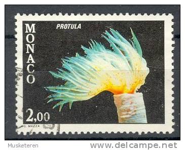 Monaco 1980 Mi. 1459  2.00 (Fr) Fauna Des Mittelmeeres Fauna Of The Mediterranean Kalk-Röhrenwurm - Gebraucht