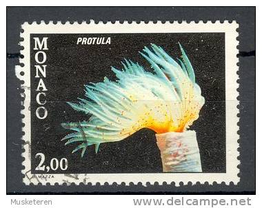 Monaco 1980 Mi. 1459  2.00 (Fr) Fauna Des Mittelmeeres Fauna Of The Mediterranean Kalk-Röhrenwurm - Oblitérés