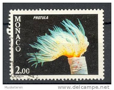 Monaco 1980 Mi. 1459  2.00 (Fr) Fauna Des Mittelmeeres Fauna Of The Mediterranean Kalk-Röhrenwurm - Usados