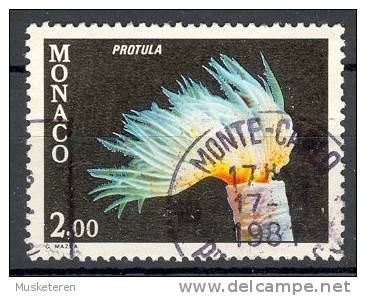 Monaco 1980 Mi. 1459  2.00 (Fr) Fauna Des Mittelmeeres Fauna Of The Mediterranean Kalk-Röhrenwurm - Usados