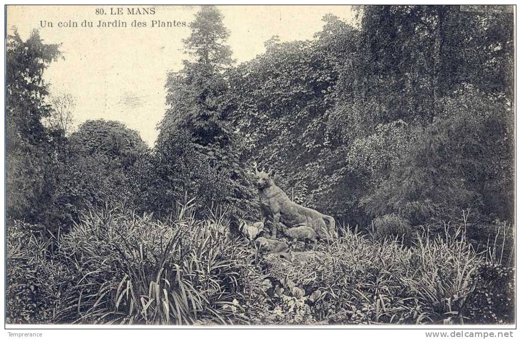 72 Le Mans-un Coin Du Jardin Des Plantes  Neuve - Le Mans