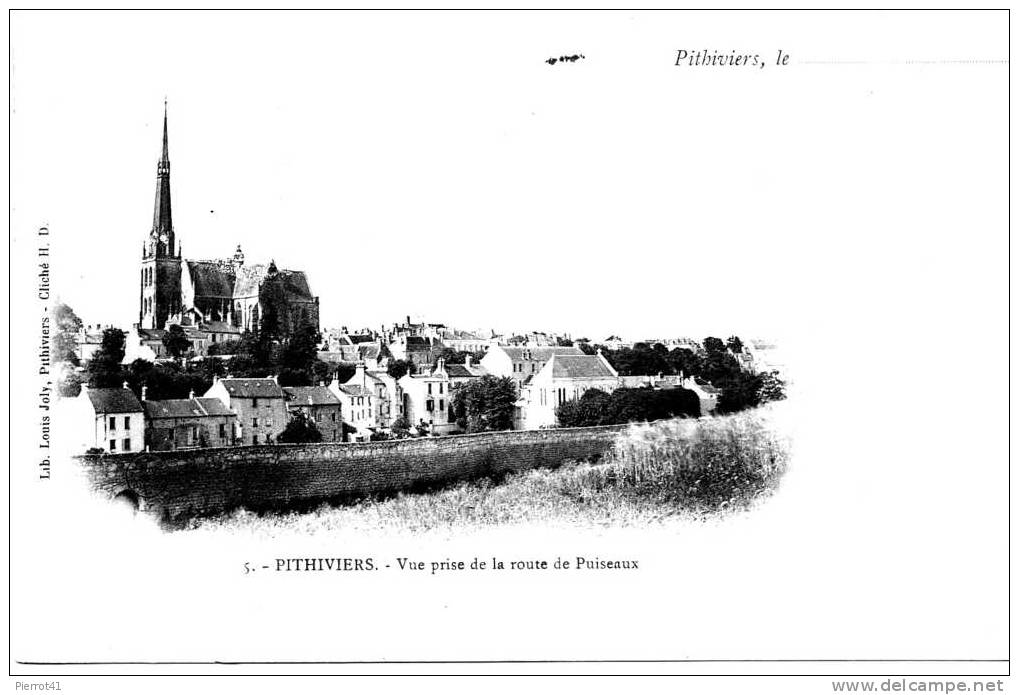 Vue Prise De La Route De PUISEAUX - Pithiviers